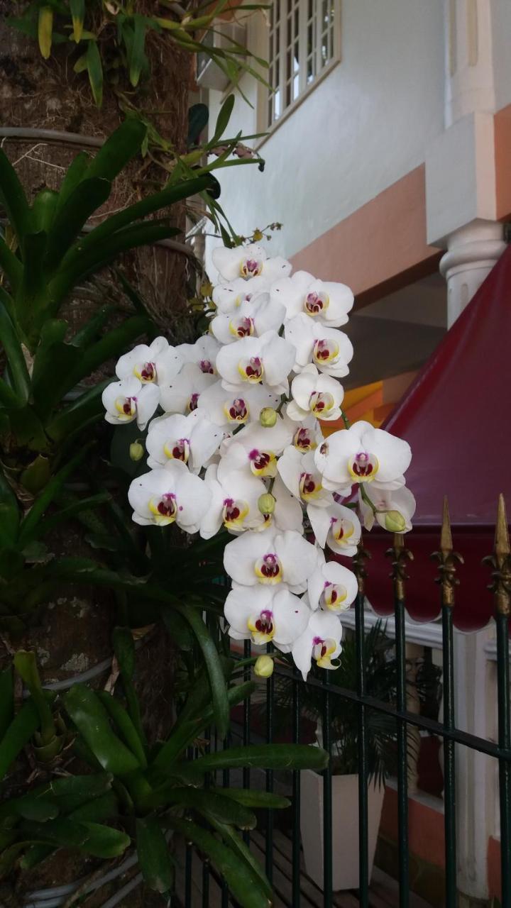 Pousada Casablanca Vila do Abraao Luaran gambar